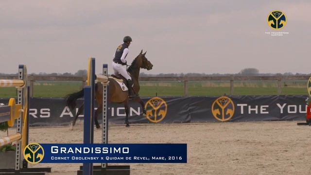 17 Grandissimo (Cornet Obolensky x Quidam de Revel) mare, 2016 смотреть онлайн