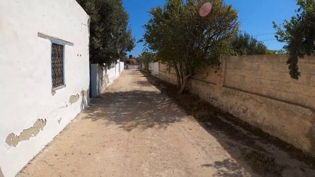 Tunisia's Kerkennah Islands (îles Kerkennah, Sfax) - hidden island paradise with Bradt Travel Guide смотреть онлайн