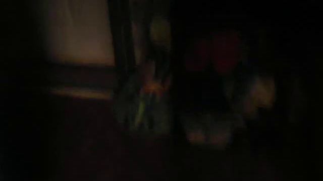 Призыв Хатико. смотреть онлайн