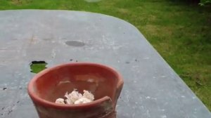 Домик для шмелей.