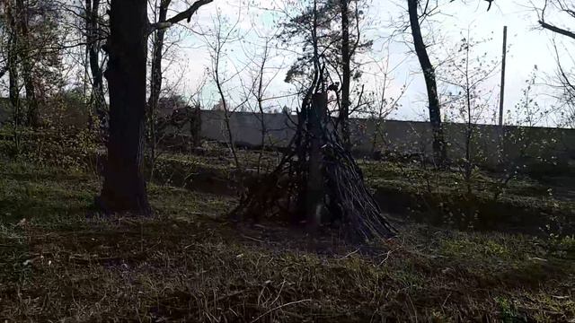39 день карантина Бровары Торгмаш, гуляем с собакой подальше от людей смотреть онлайн
