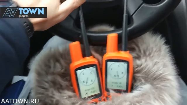 ошейник gps для собаки посылка с Али смотреть онлайн