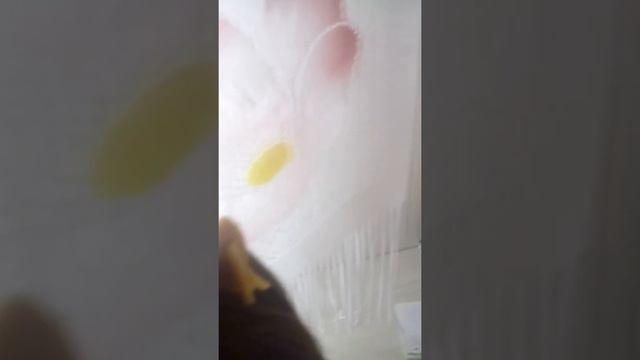 Мне купили монстер хай смотреть онлайн
