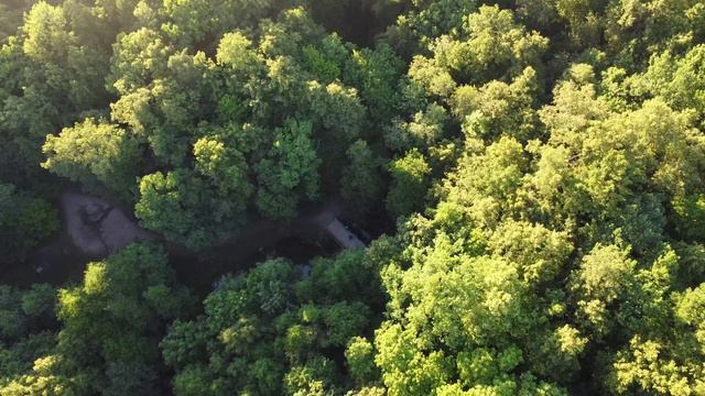 Летние полеты над Сергеевкой. Взлет с моста рядом с Головой. Четверг, 27 июня 2024 г.