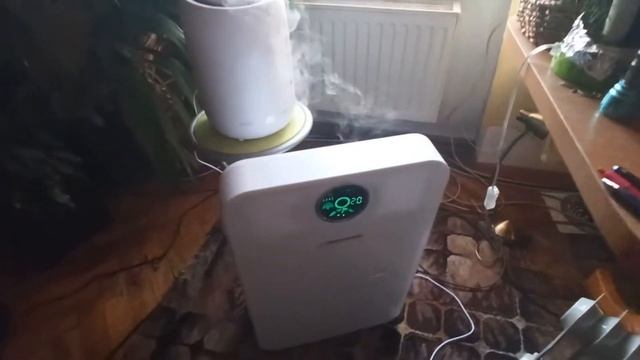 Nawilżacz i oczyszczacz 1+1 fajna kombinacja za ok 300 zł. смотреть онлайн