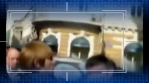 ГОРОХОВЫЕ ЗЕРНА. (Наутилус Помпилиус)