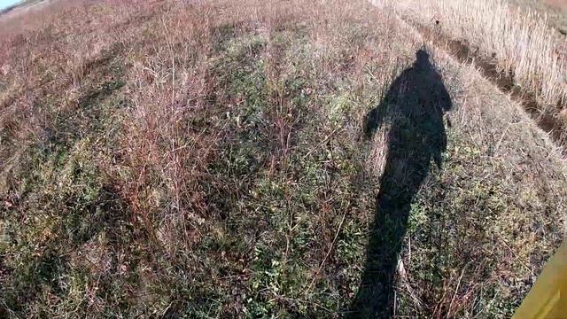 РЫБАЛКА на СПИННИНГ, река ЕГОРЛЫК смотреть онлайн