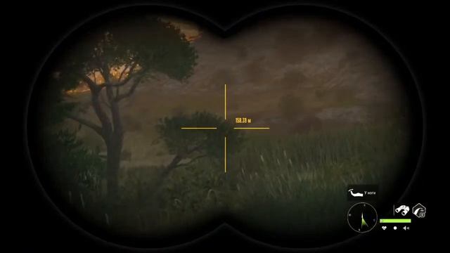 Охота на Льва Альбинос! Африка Савана Вурхонга! Часть 2, The Hunter Call of the Wild смотреть онлайн