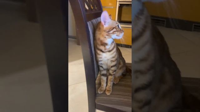 ❤️Наша любимая любовь ❤️ смотреть онлайн