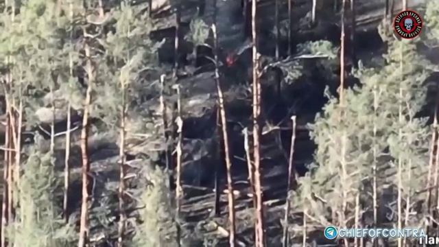 Первые кадры из зоны СВО с бронеавтомобилем «Тайфун-ВДВ» смотреть онлайн