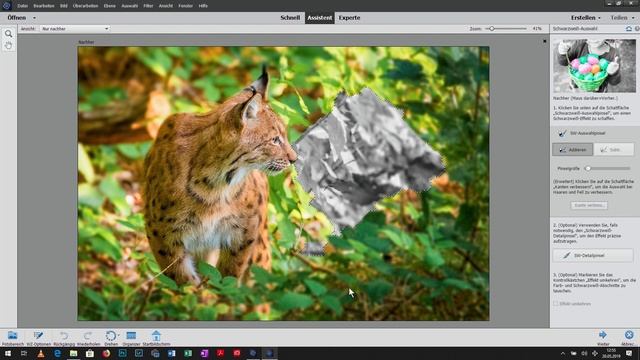Photoshop Elements: Fotos in Schwarzweiß umwandeln – diese Kniffe und Methoden gibt es! смотреть онлайн