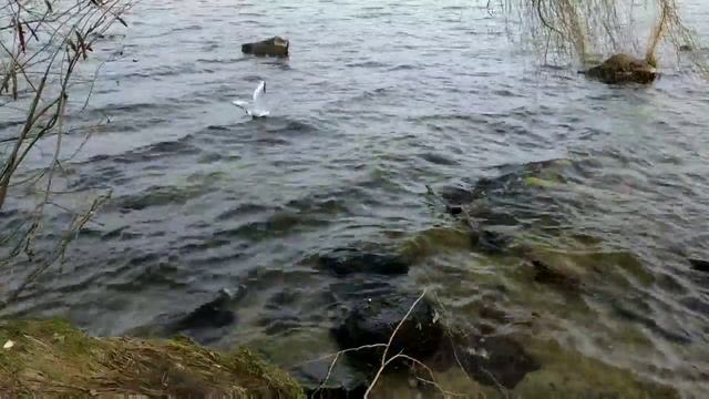 Днепропетровск (Дніпро) - улицы нашего города // Dnepropetrovsk (Dnipro) - The Streets Of Our City