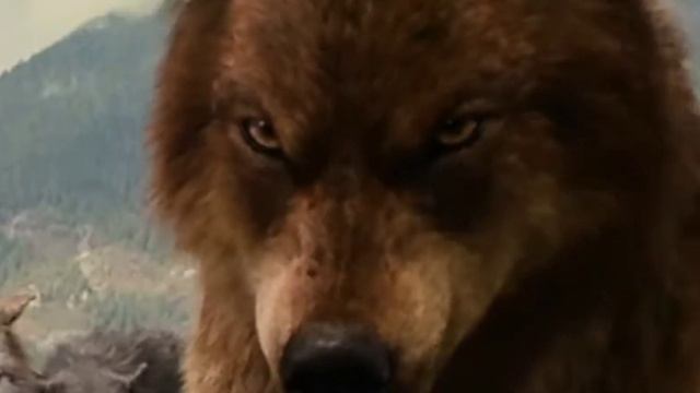 Клип Сумерки || The Resistance(Skillet)