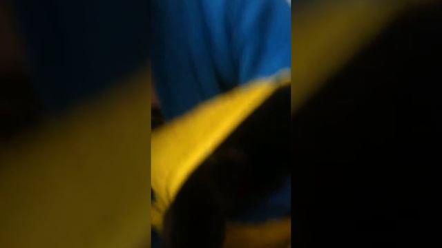 Стридём коте ногти смотреть онлайн