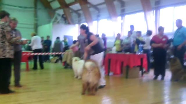 VID 20141012 153905 смотреть онлайн