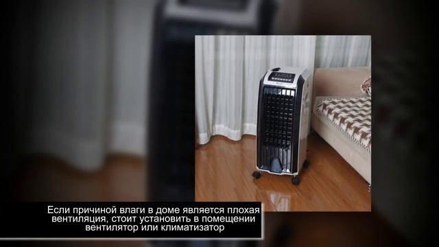 Как избавиться от плесени. Удаляем плесень в доме смотреть онлайн