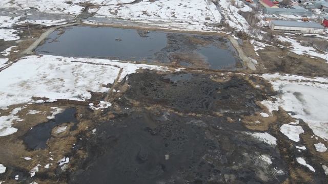 Кудряшовский свинокомплекс смотреть онлайн