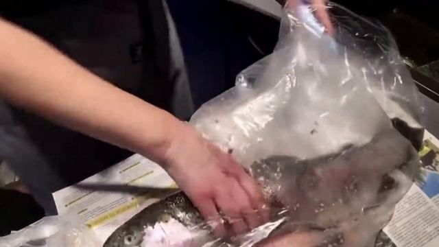 Как чистить рыбу / Как чистить рыбу от чешуи смотреть онлайн