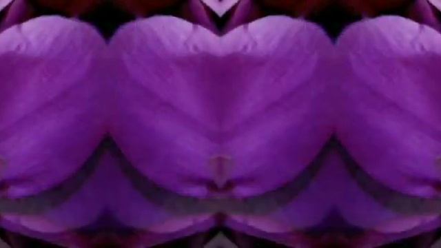 Фиолет#стихидуши#слушатьстихи#поэзиядуши смотреть онлайн