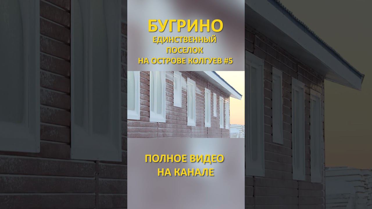БУГРИНО КОЛГУЕВ 5 SHORTS #SHORTS смотреть онлайн