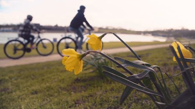 Forme 2021 Winster Hybrid Bike смотреть онлайн