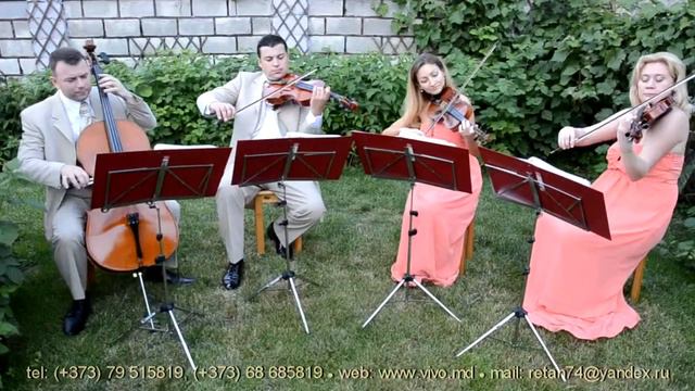 VIVO QUARTET - "Джон Грей" - ВИВО КВАРТЕТ смотреть онлайн