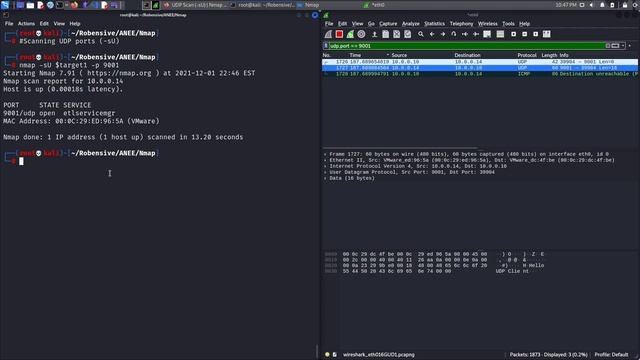 05 UDP Ports Scan смотреть онлайн