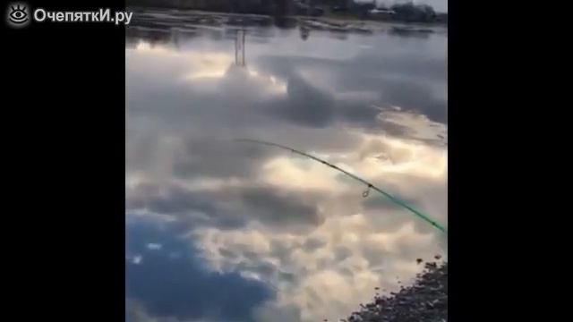 что должны делать мужики🤣🤣🤣🤣 смотреть онлайн