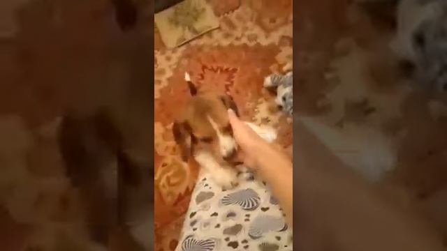 Когда мы были маленькими. смотреть онлайн