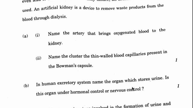SCIENCE Set 33/4/1, 33/4,2, 33/4/3 Section-E Detailed Answer Key | CBSE Class 10th | 2 March 2024 смотреть онлайн