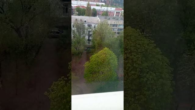 Вышли гулять с собакой😘🌺🐕🐶🐩с Джесикой Руский той терер🐕🐶🐩😘 смотреть онлайн