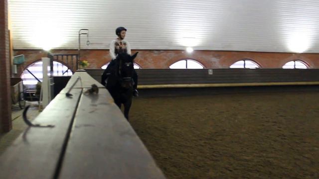 MVI 3210 Арина смотреть онлайн