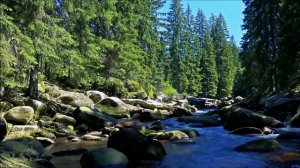 Ангел с небес. Христианские песни