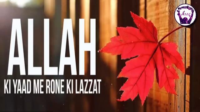 Jannat Mein Kia Cheez Ni Milay Ge Maulana Tariq Jameel Allah ke Yad Mein Rona #Shoukatpappu Bhatt смотреть онлайн
