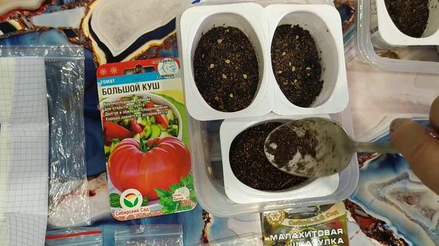 Томаты Малахитовая шкатулка, Большой куш. Посев. смотреть онлайн