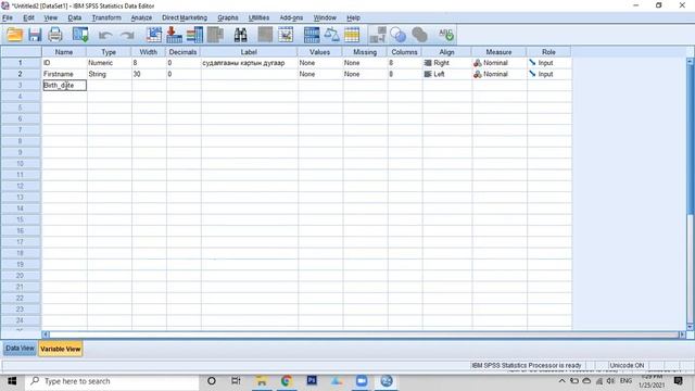 SPSS програмд хувьсагч үүсгэх, өгөгдөл оруулах смотреть онлайн