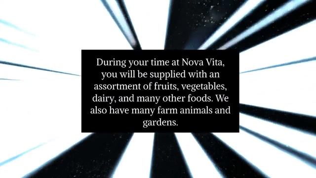 Block D MD and KK Nova Vita смотреть онлайн