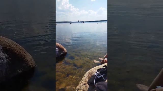 отдыхаем у моря и мочим ноги | архивная запись 2 том смотреть онлайн