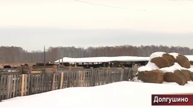 эфир 3 03 217 смотреть онлайн