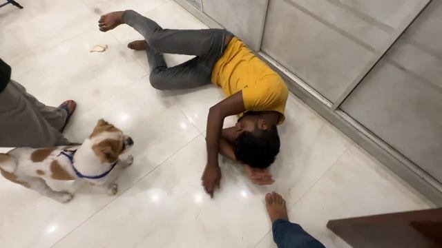 Mummy dar gayi bhoot se смотреть онлайн