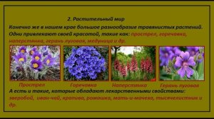 Проект Разнообразие природы родного края Окружающий мир 3 класс