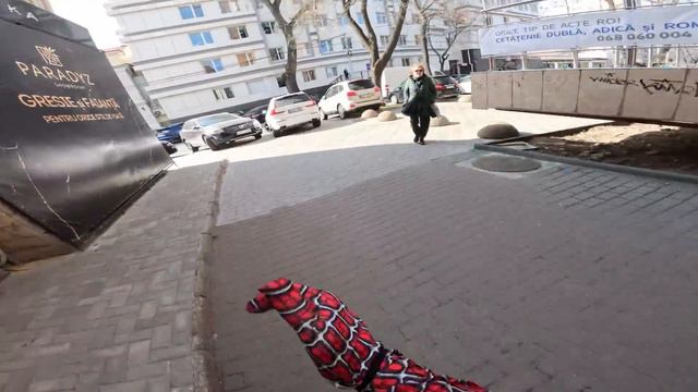 SPIDER MAN HELPED A CRAZY GIRL AND REGRETED THAT I DID IT (Parkour POV Love Best) смотреть онлайн