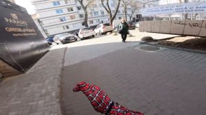 SPIDER MAN HELPED A CRAZY GIRL AND REGRETED THAT I DID IT  (Parkour POV Love Best)