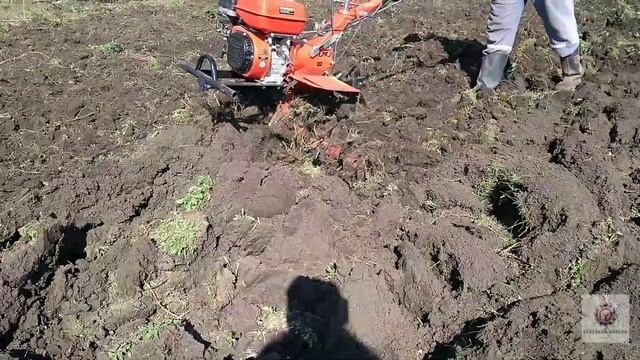 Мотоблок Forte 105G пашим цілину!!! смотреть онлайн