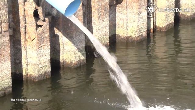 В Волжском полку прибыло. Компания «Т Плюс» выпустила почти 6000 мальков в реку смотреть онлайн