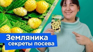 ЗЕМЛЯНИКА ИЗ СЕМЯН: ОТ ПОСЕВА ДО СБОРА УРОЖАЯ! Как получить урожай земляники уже в год посева?