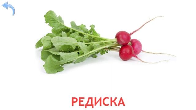 Овощи. Учим овощи. Малыш учит. Играем вместе. Игрушки и игры с детьми. смотреть онлайн