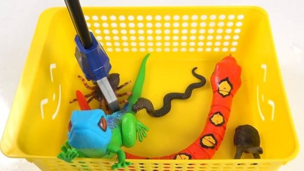 [EN] Let's raise robot lizard!! cocos animation, animals names for kids, collectaㅣCoCosToy