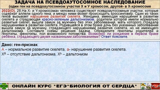 ПСЕВДОАУТОСОМНОЕ НАСЛЕДОВАНИЕ ГЕНОВ. РАЗБОР ЗАДАНИЙ 2022 ГОДА смотреть онлайн