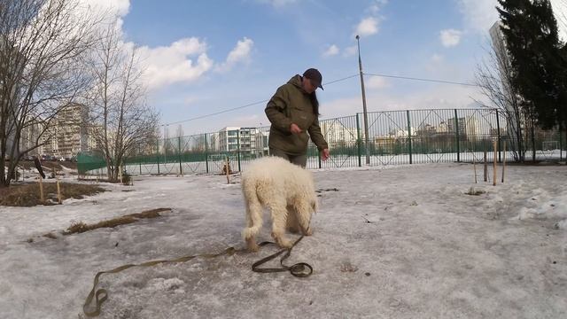 Обучение на положительном подкреплении. Урок №1. Наведение. смотреть онлайн